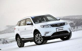 国产 jav,国产Java技术发展与应用全景解析