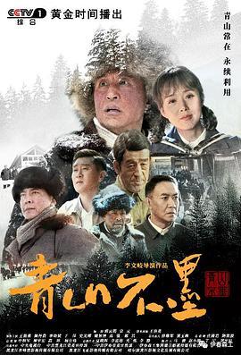 国产高清片,视觉盛宴中的文化传承与创新